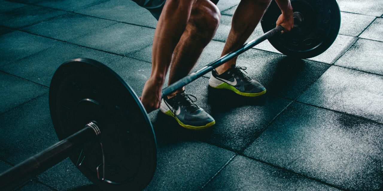 Muskelaufbau für Einsteiger: Die wichtigsten Grundlagen